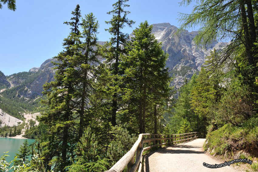 16 Lago di Braies.JPG